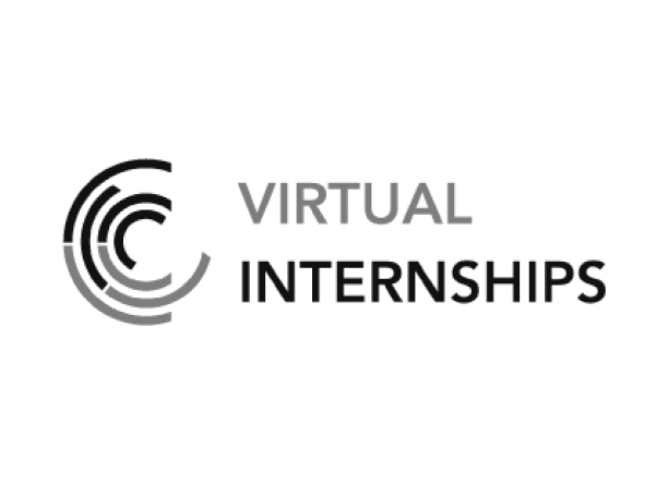 Virtual internships
